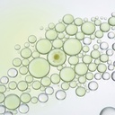 Bi-Phase Texture Detail